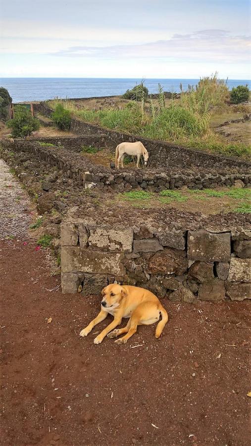 Quinta Da Falesia - Casa Branca Ponta Delgada  Ngoại thất bức ảnh