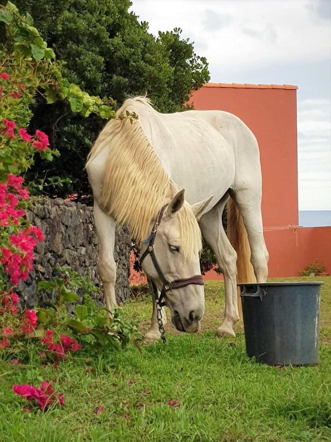 Quinta Da Falesia - Casa Branca Ponta Delgada  Ngoại thất bức ảnh
